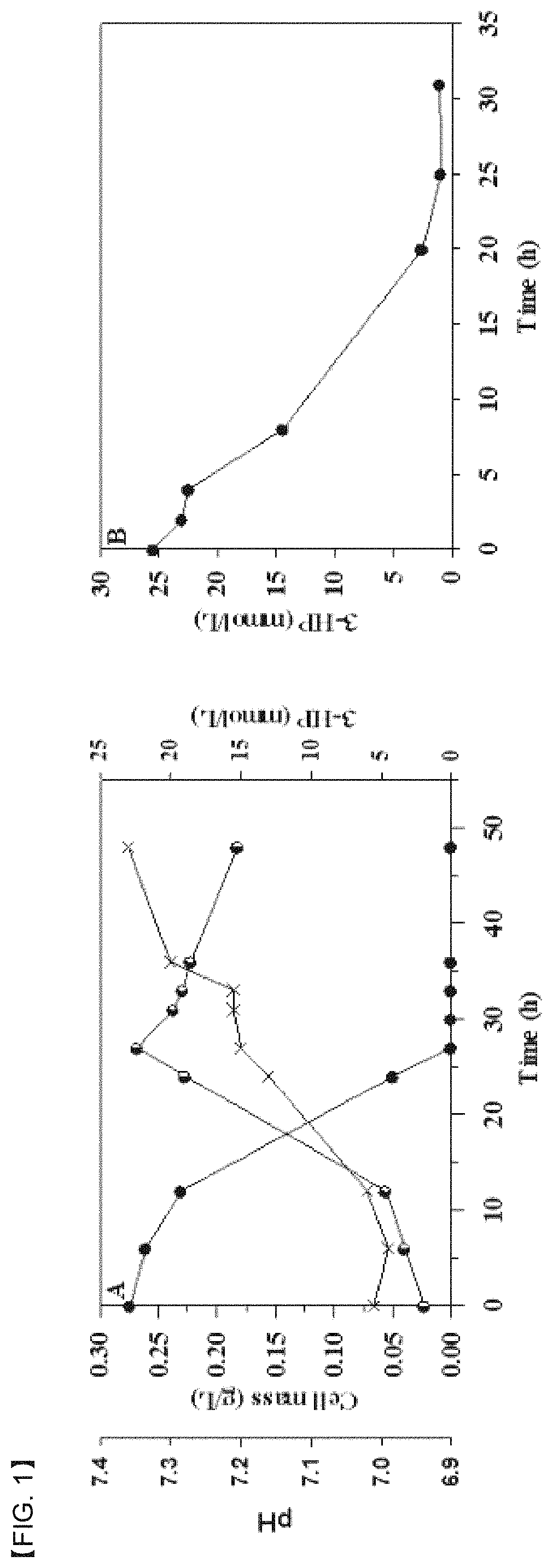 Promoter system inducing expression by 3-hydroxypropionic acid and method for biological production of 3-hydroxypropionic acid using same