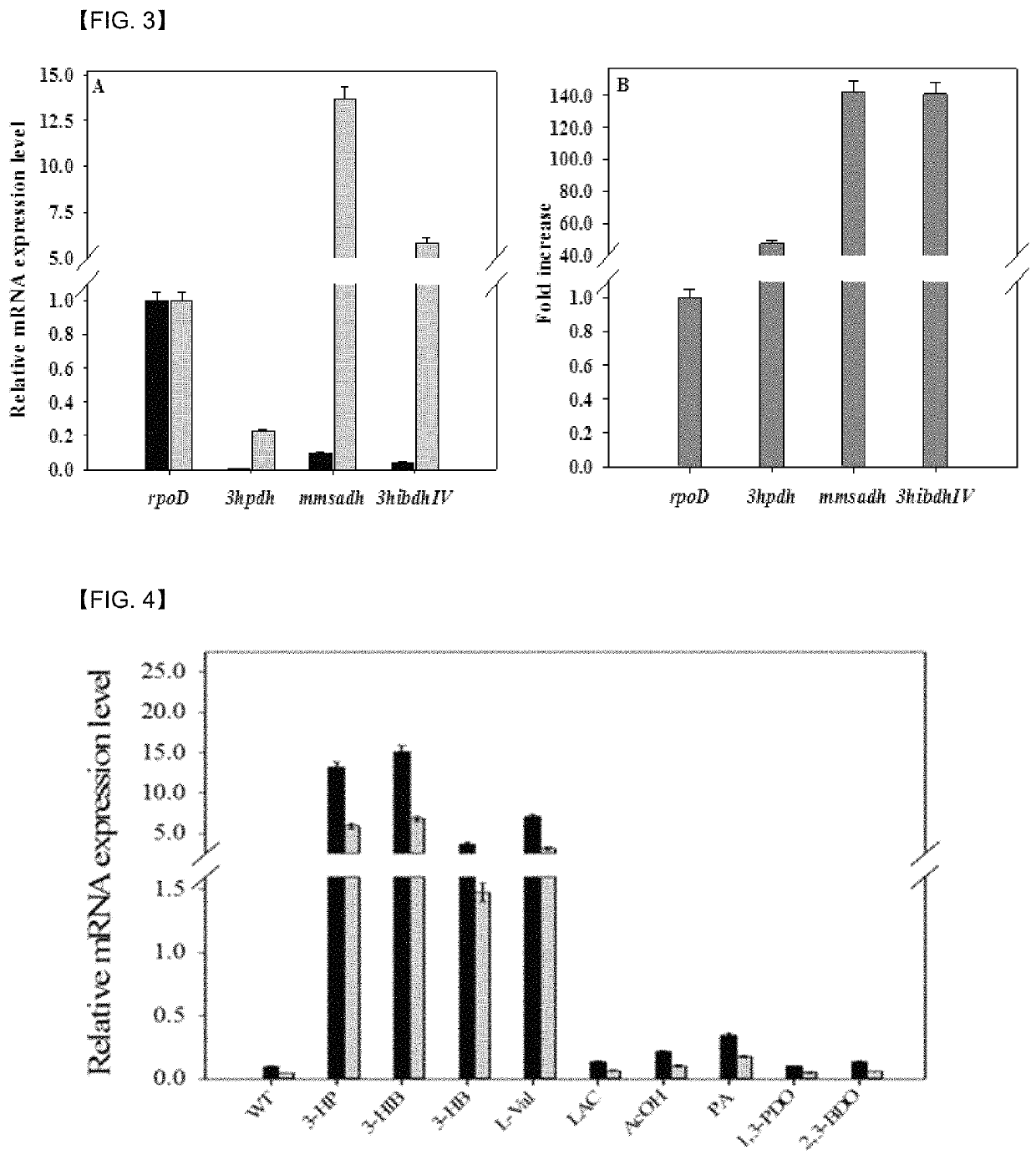 Promoter system inducing expression by 3-hydroxypropionic acid and method for biological production of 3-hydroxypropionic acid using same