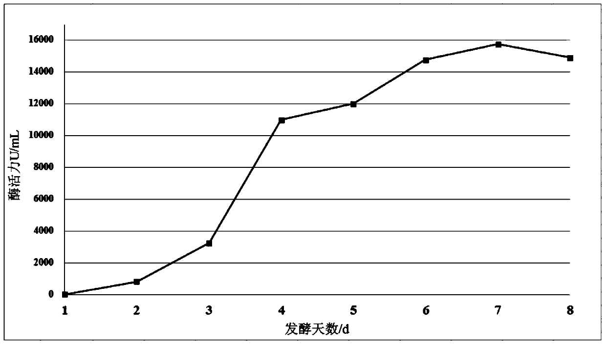 Optimized high-temperature acid trehalinase TreMT1 and coding gene and application thereof