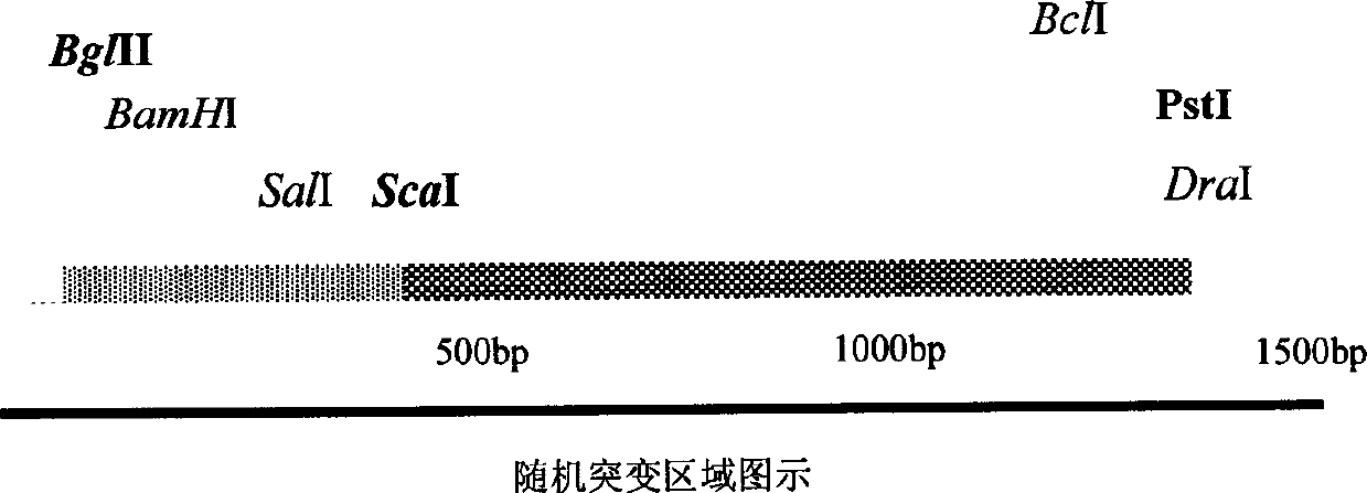 Rice EPSP synthase mutant and its coding gene, obtaining method and application