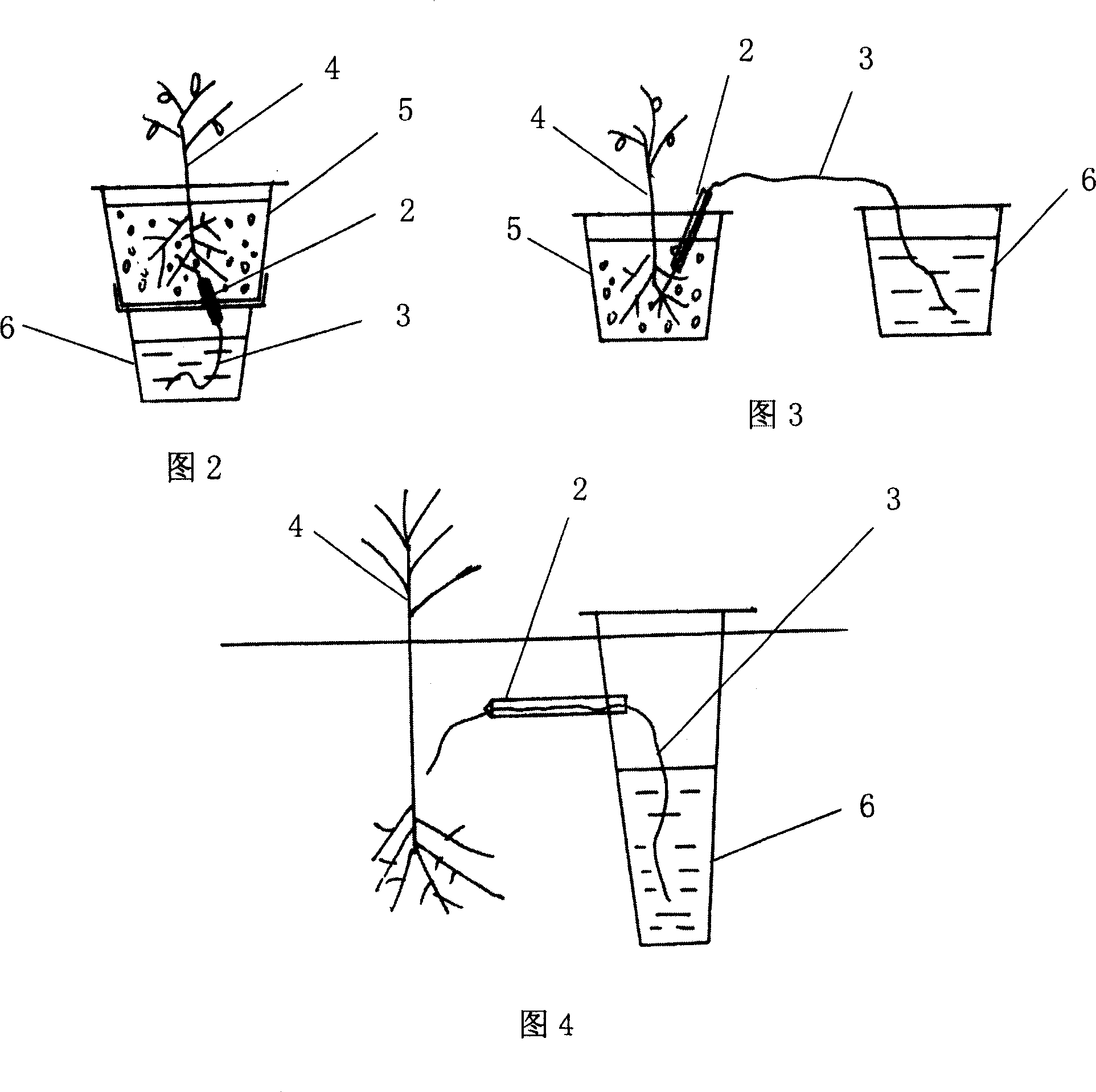 Irrigation belt of polymer material