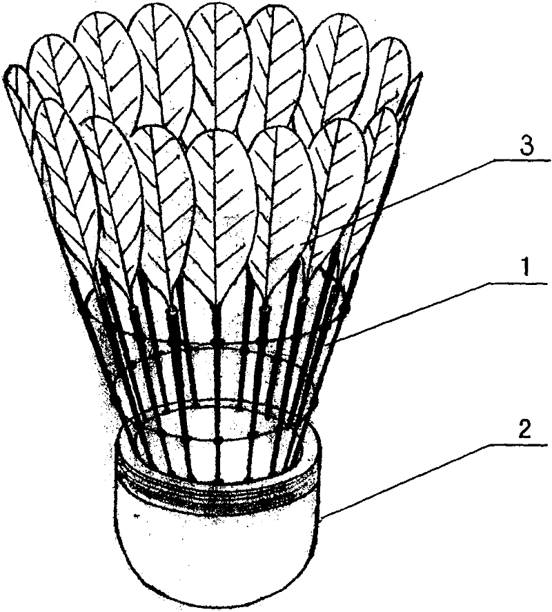 Badminton