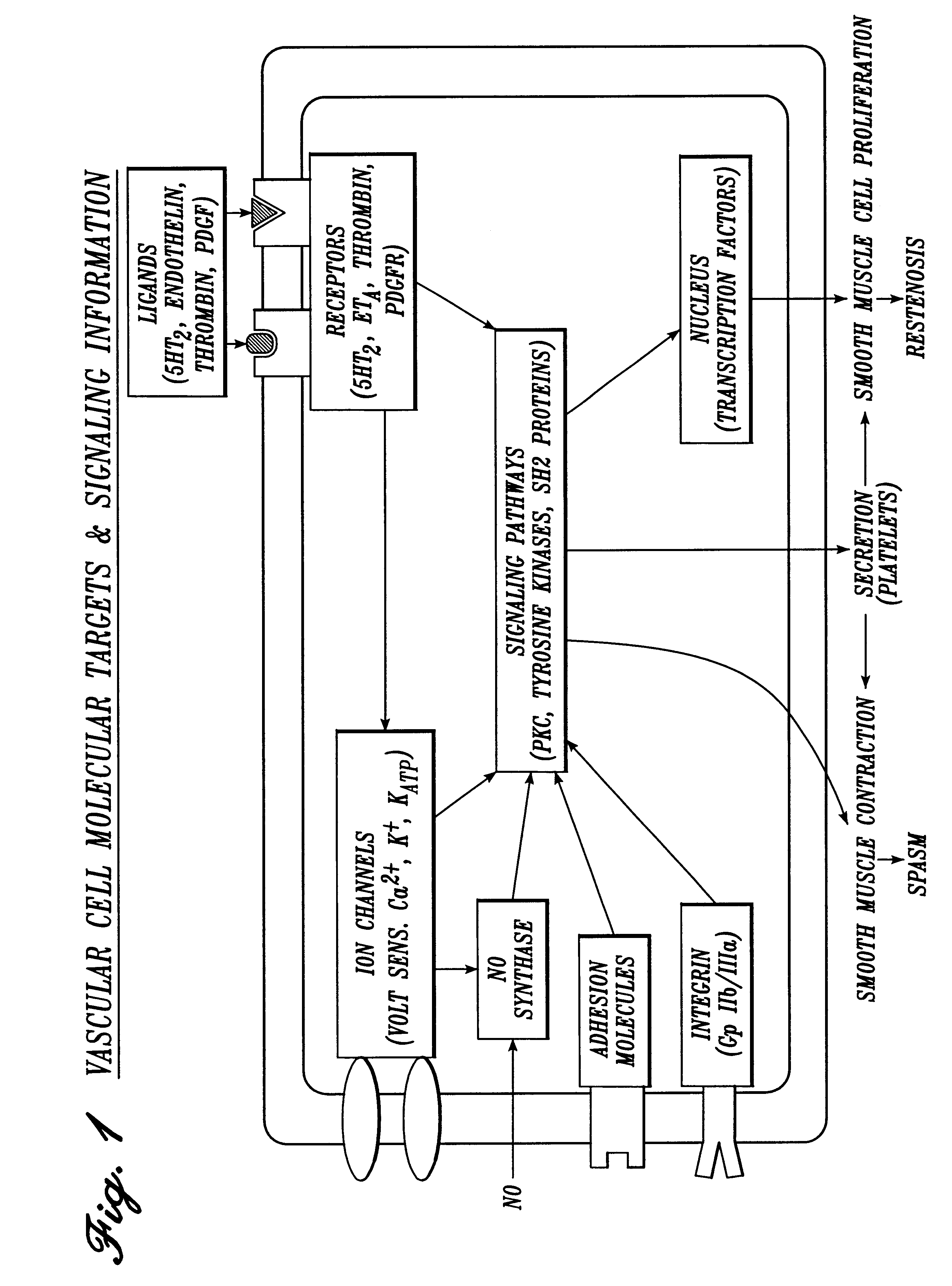 Pharmaceutical compositions