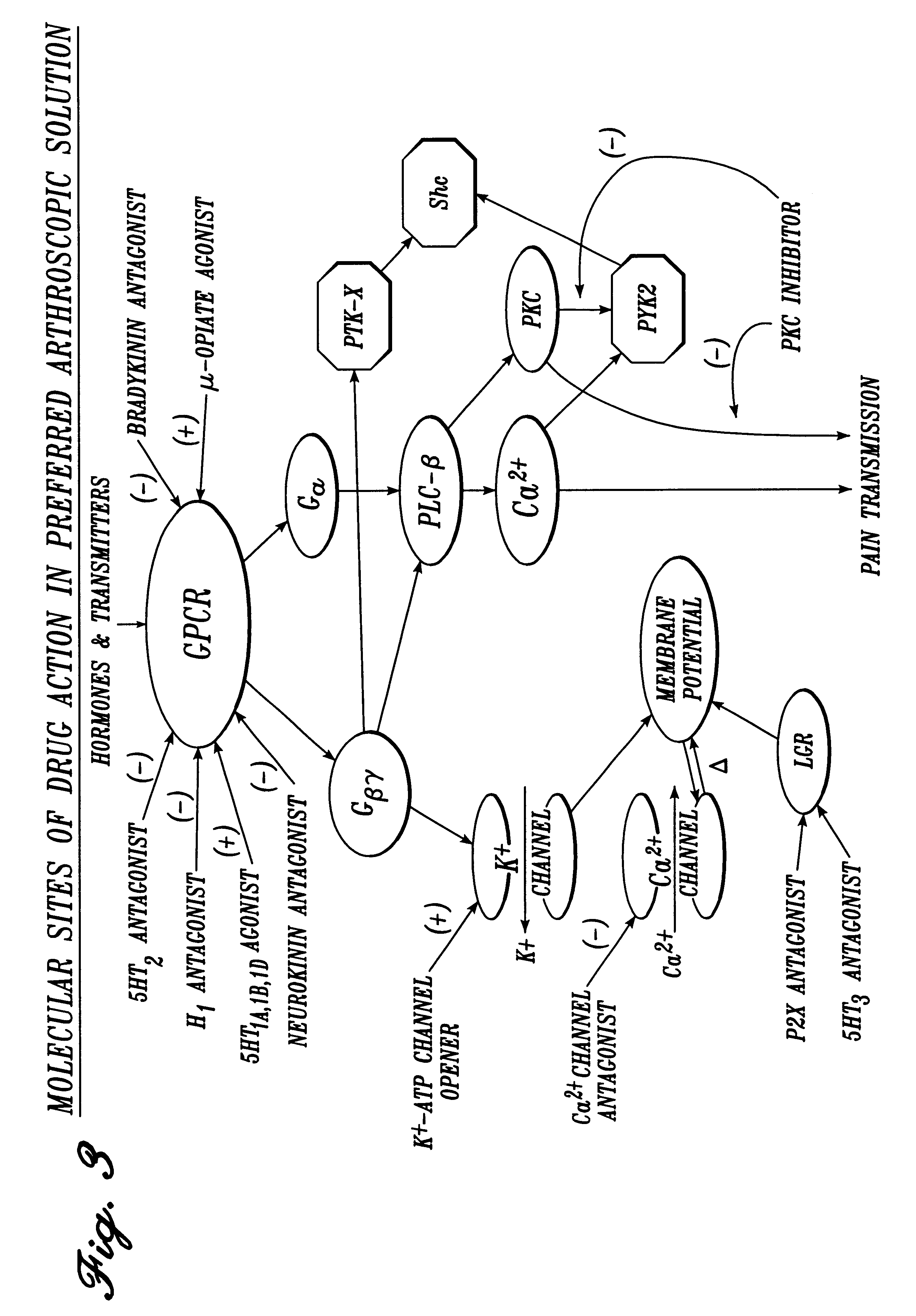 Pharmaceutical compositions