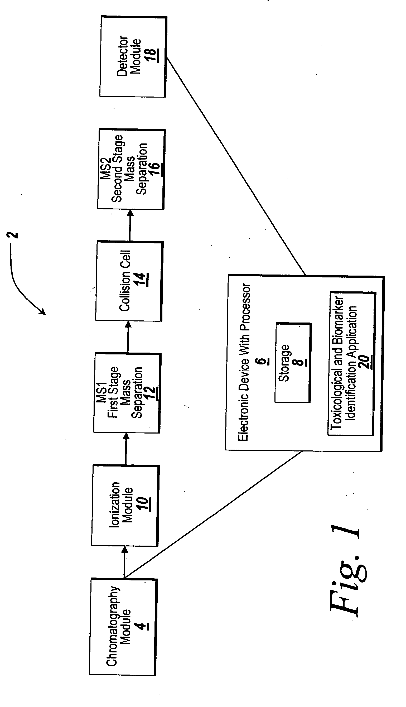 System and method for metabonomics directed processing of LC-MS or LC-MS/MS data