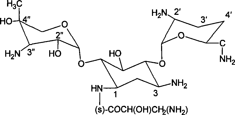 Aminoglycoside antibiotics