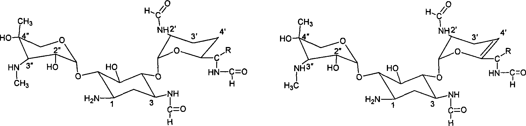 Aminoglycoside antibiotics