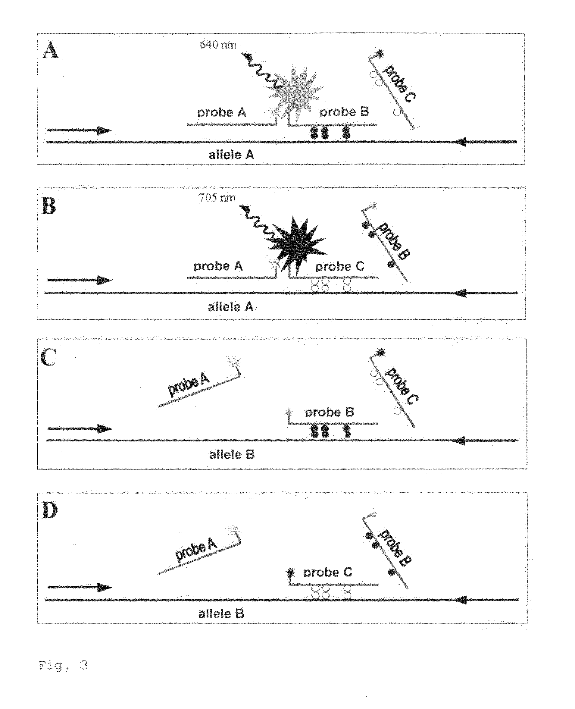 Method for the Quantification of Methylated DNA