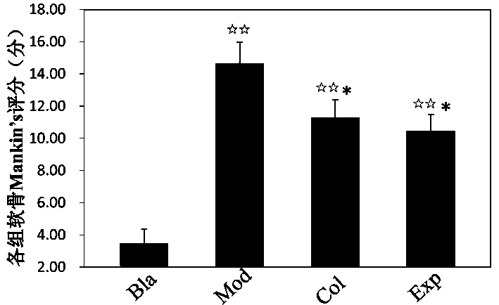 A traditional Chinese medicine polysaccharide composition for anti-cartilage degeneration and its preparation method