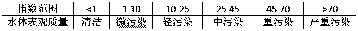 River channel water-quality appearance anomaly detection portable analyzer and detection method the