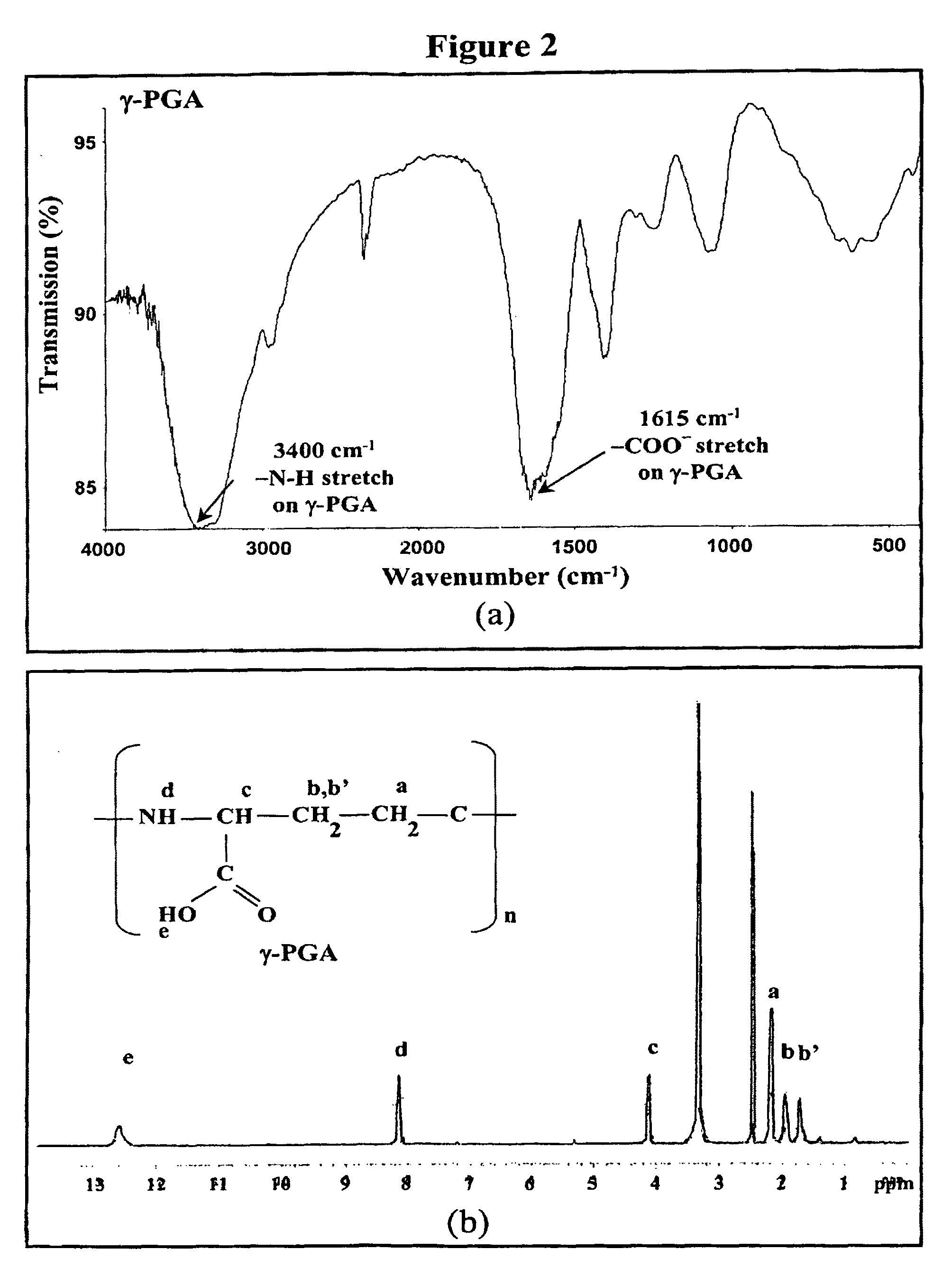 Nanoparticles for protein drug delivery