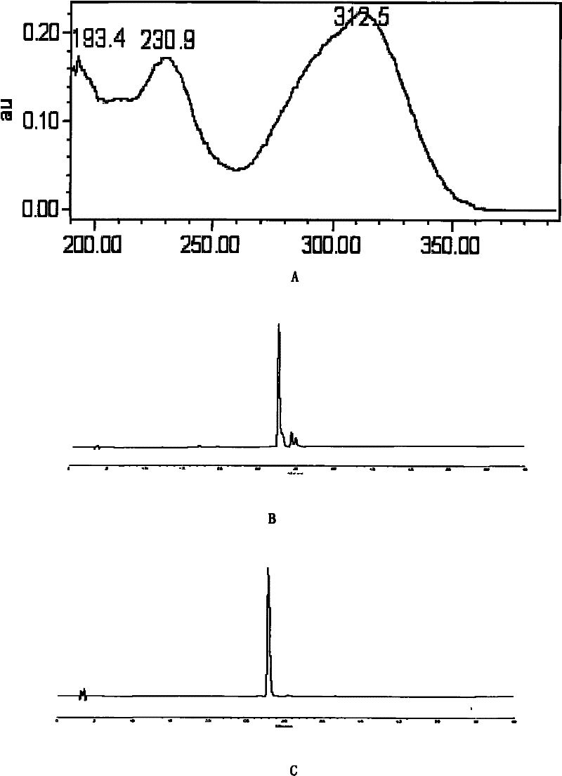 Effective part of spreading hedyotis herb and preparation method thereof