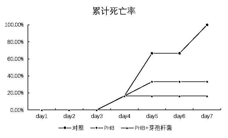 Compound probiotic preparation for preventing and treating gill hemorrhagic disease of carassius auratus gibelio and preparation method thereof