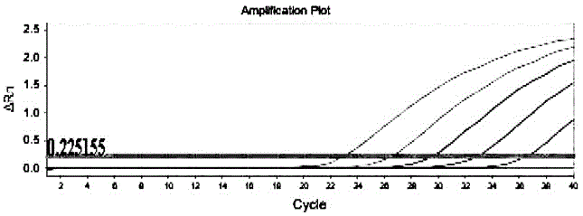 Primer and kit for detecting duck type-II adenovirus