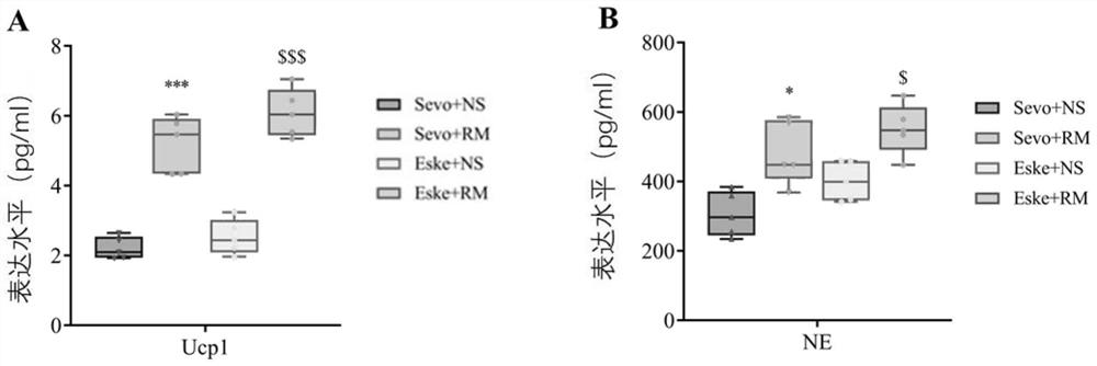 Application of remazolam in prevention of hypothermia and shivering in perioperative period