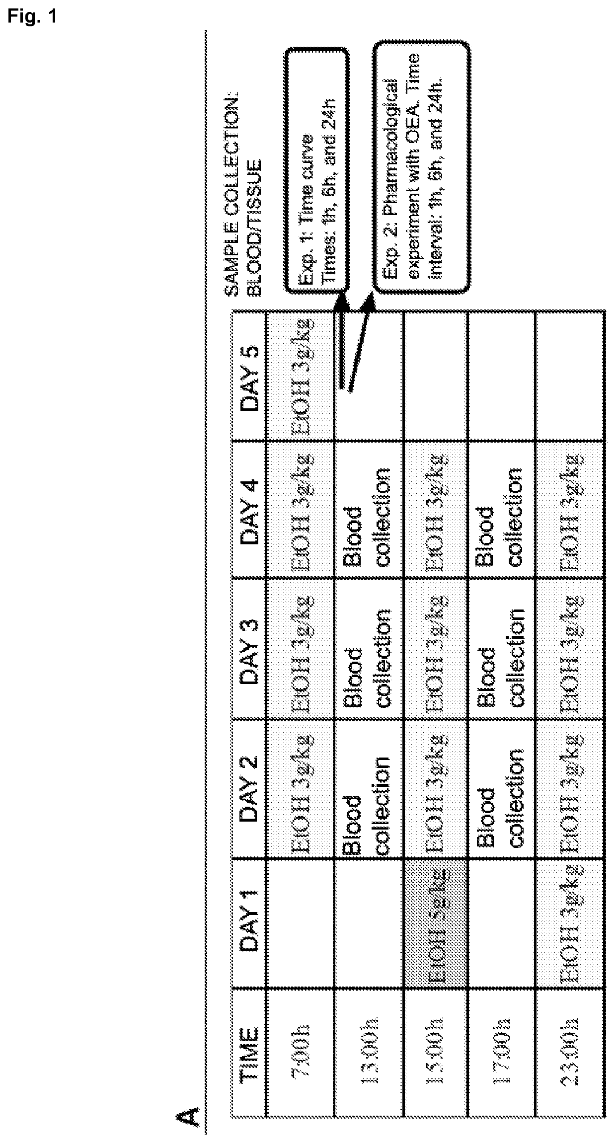 Compositions for the prevention and/or treatment of alcohol use disorders