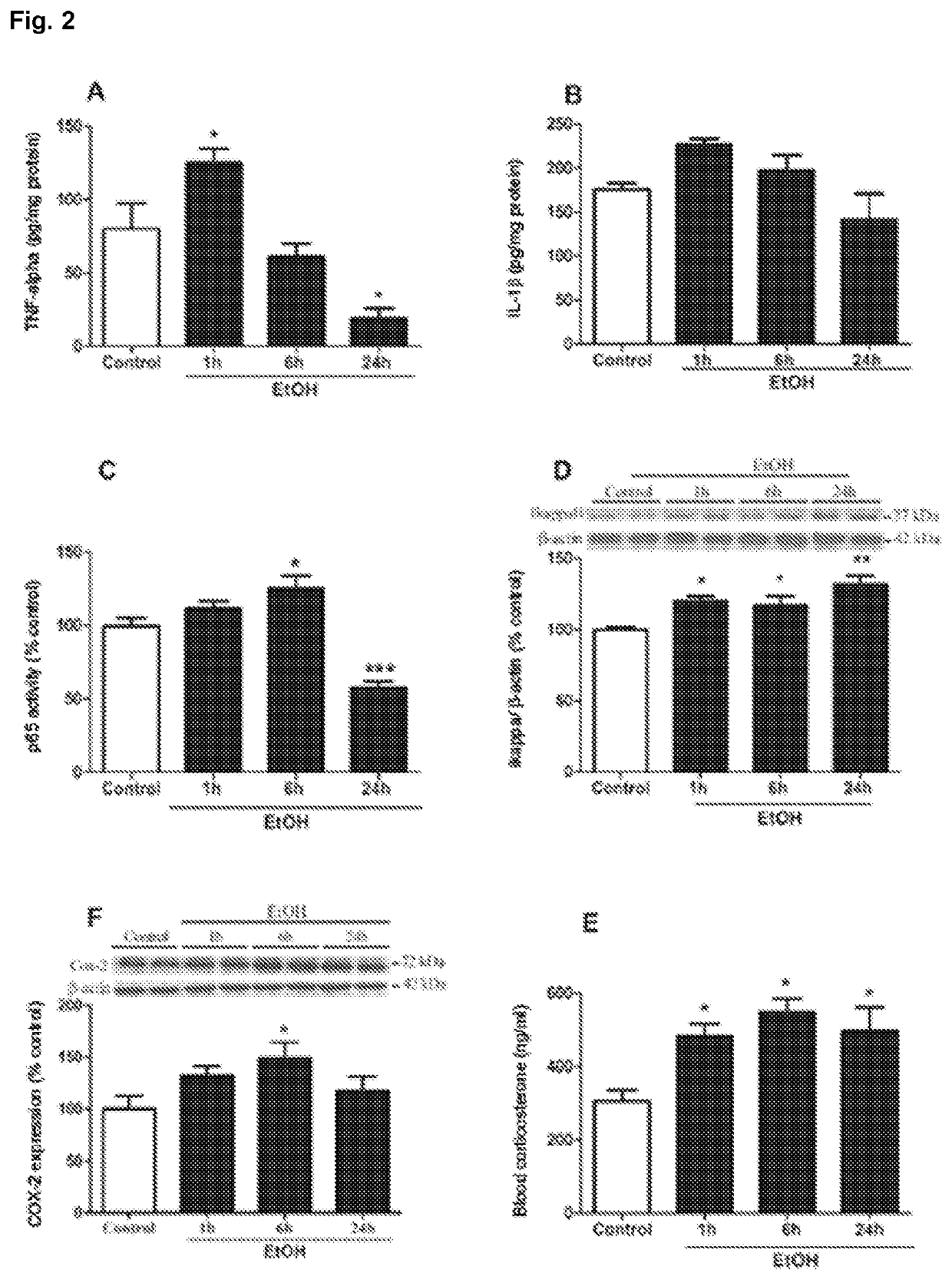 Compositions for the prevention and/or treatment of alcohol use disorders