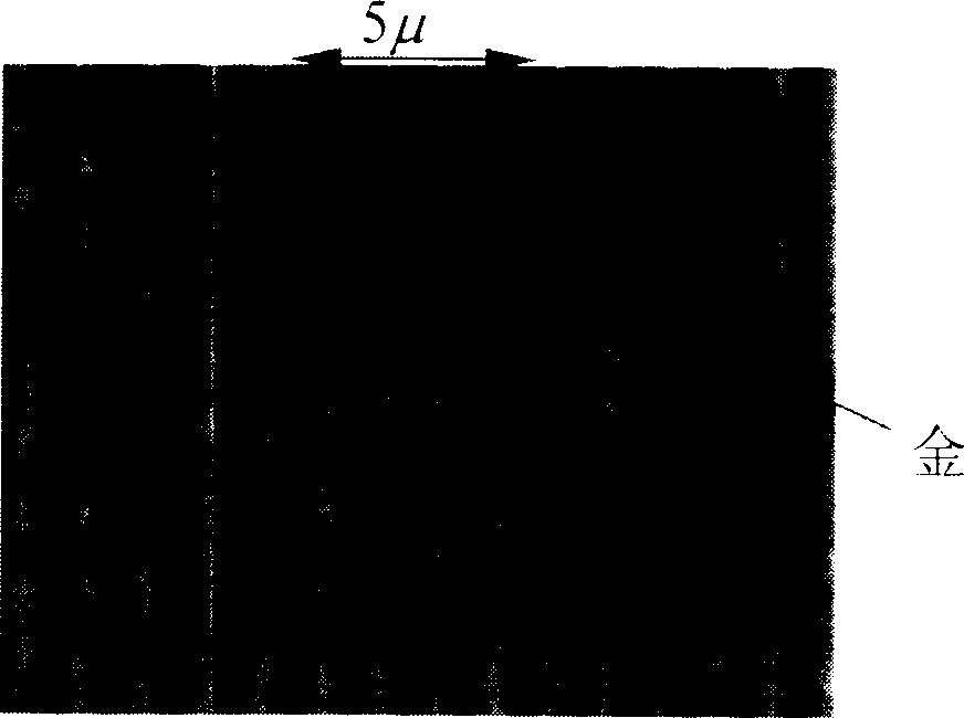 Method for preparing periodic microstructure on metallic film by femto second laser