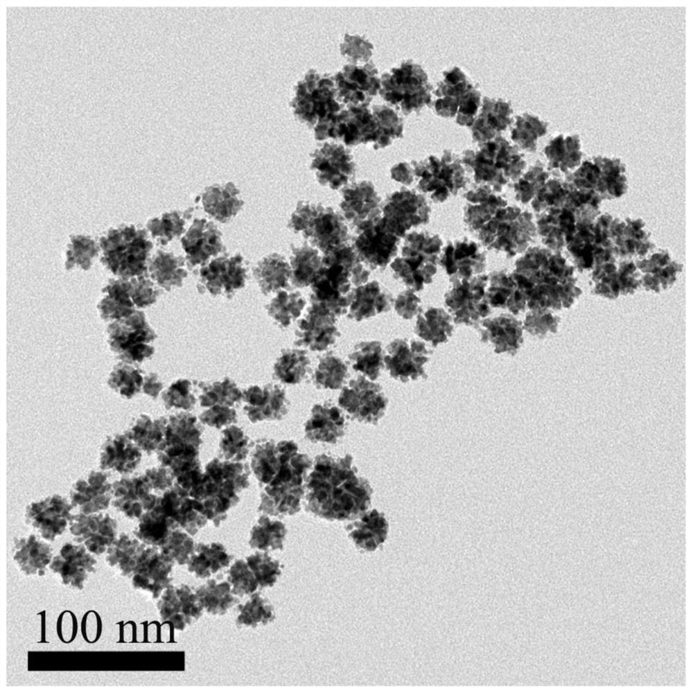 Dendritic PDPT nanoparticles for electrocatalytic oxidation of methanol and preparation method thereof