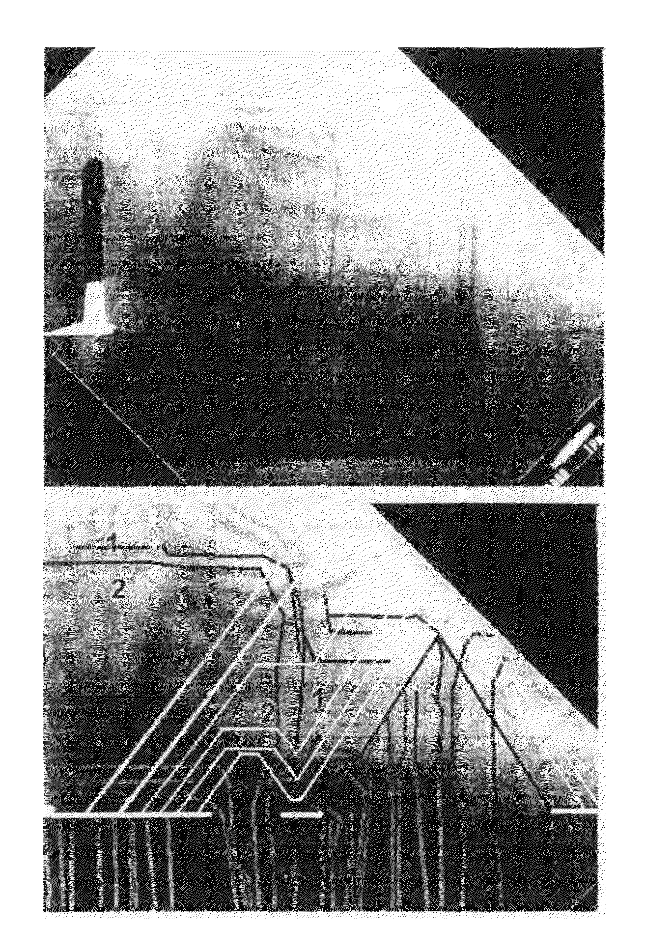 Process for growth of low dislocation density GaN