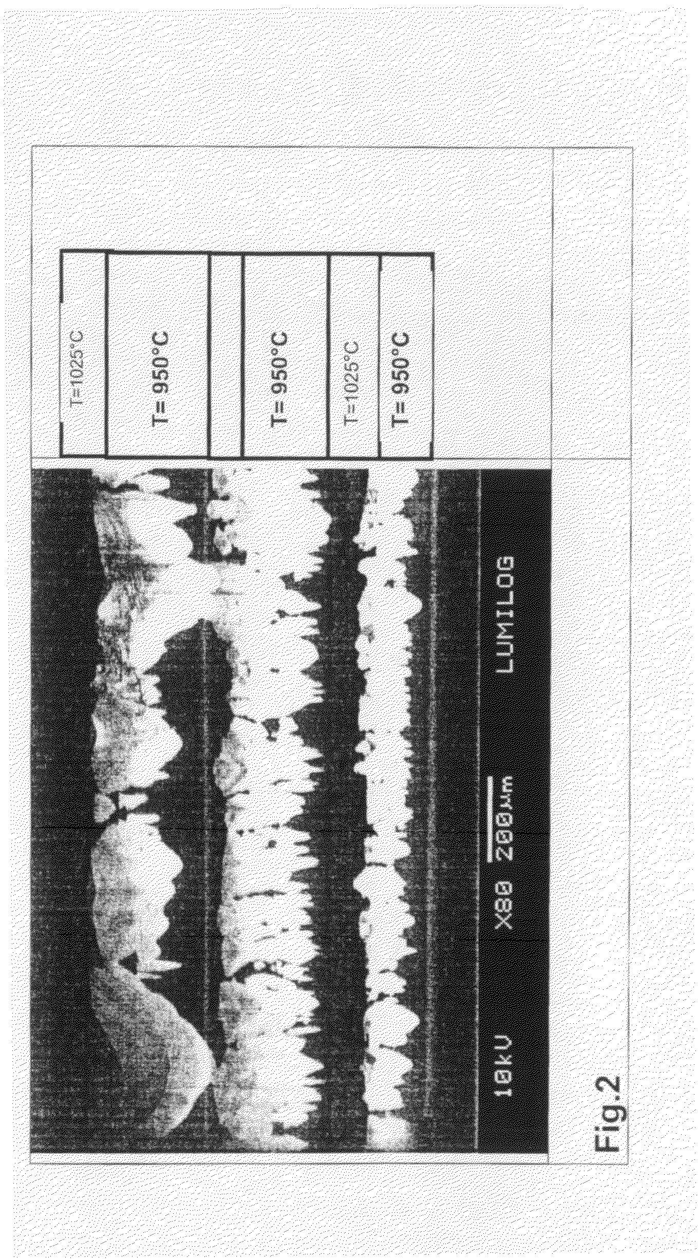 Process for growth of low dislocation density GaN