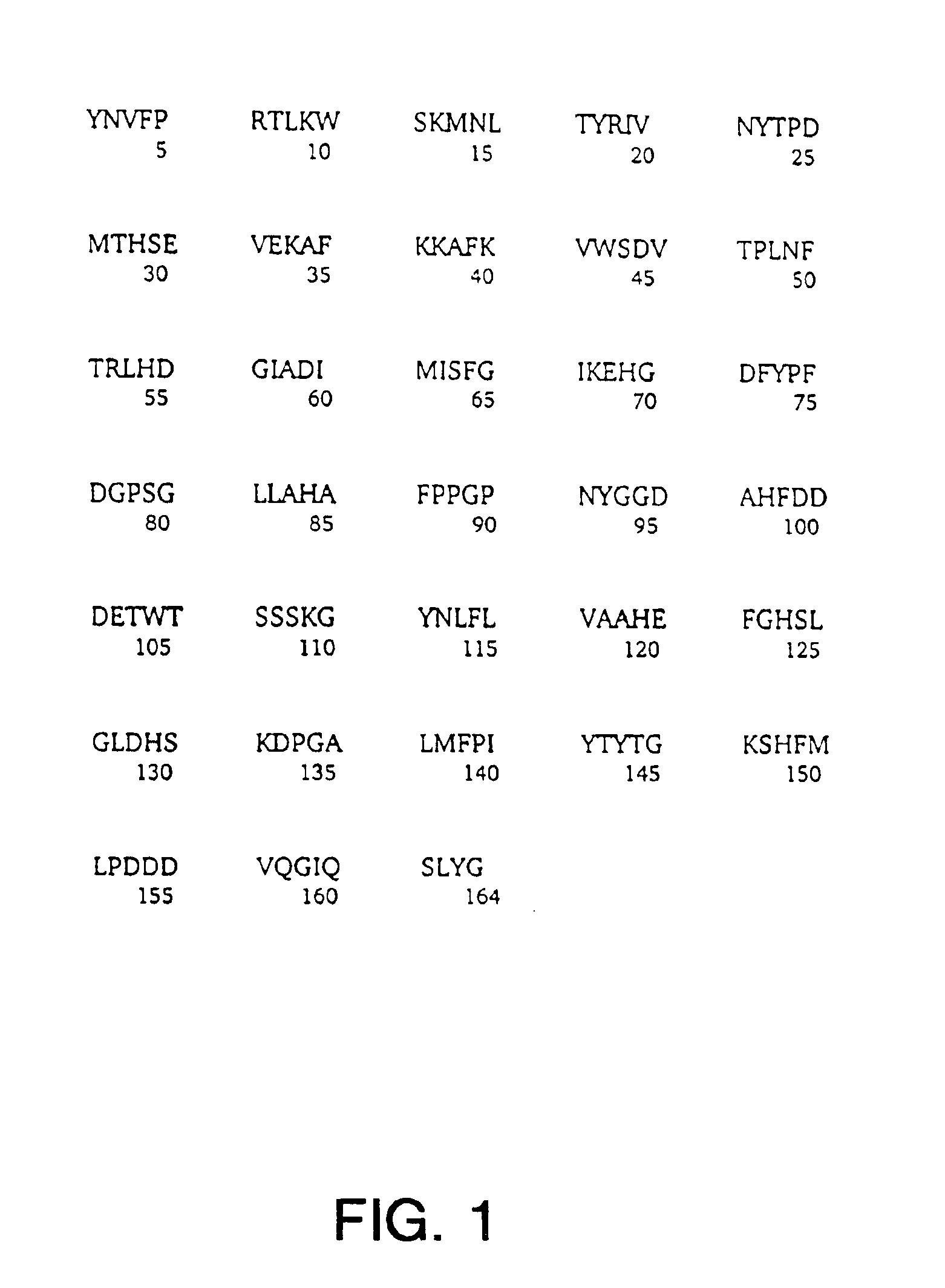 Methods for designing agents that interact with MMP-13