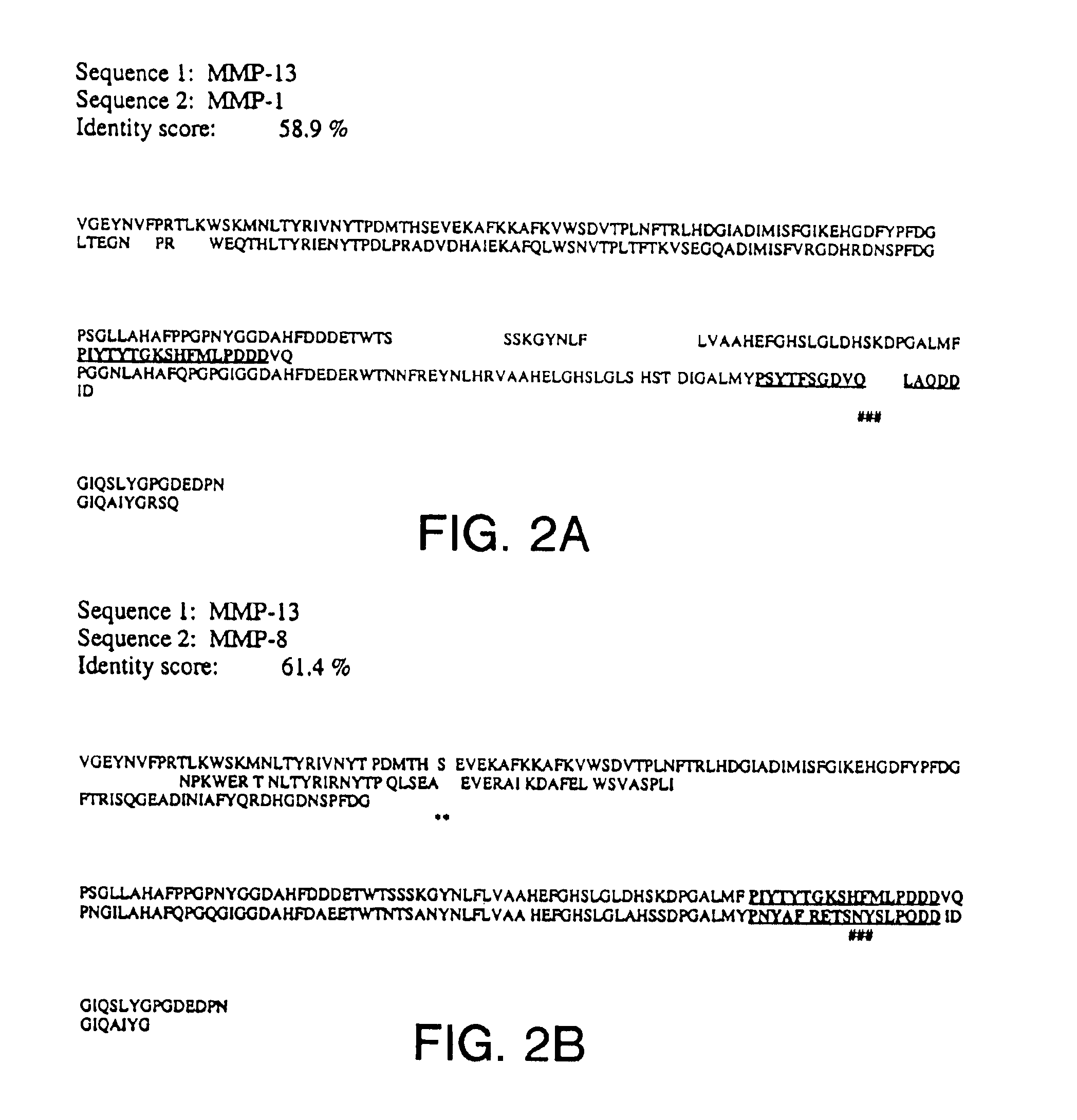 Methods for designing agents that interact with MMP-13