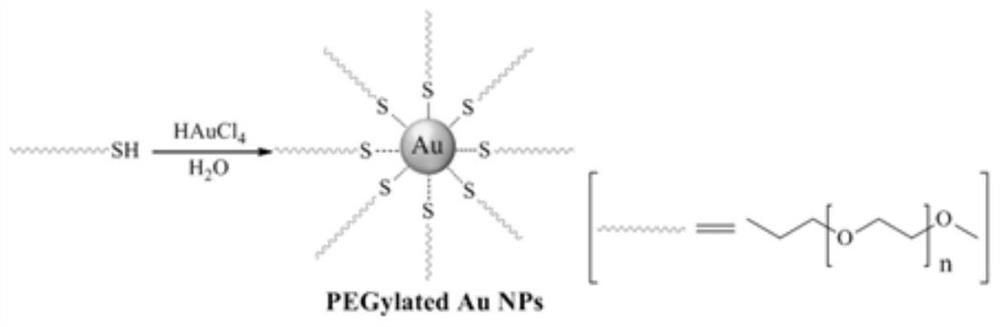 A kind of nanometer gold micelle catalyst and its preparation method and application