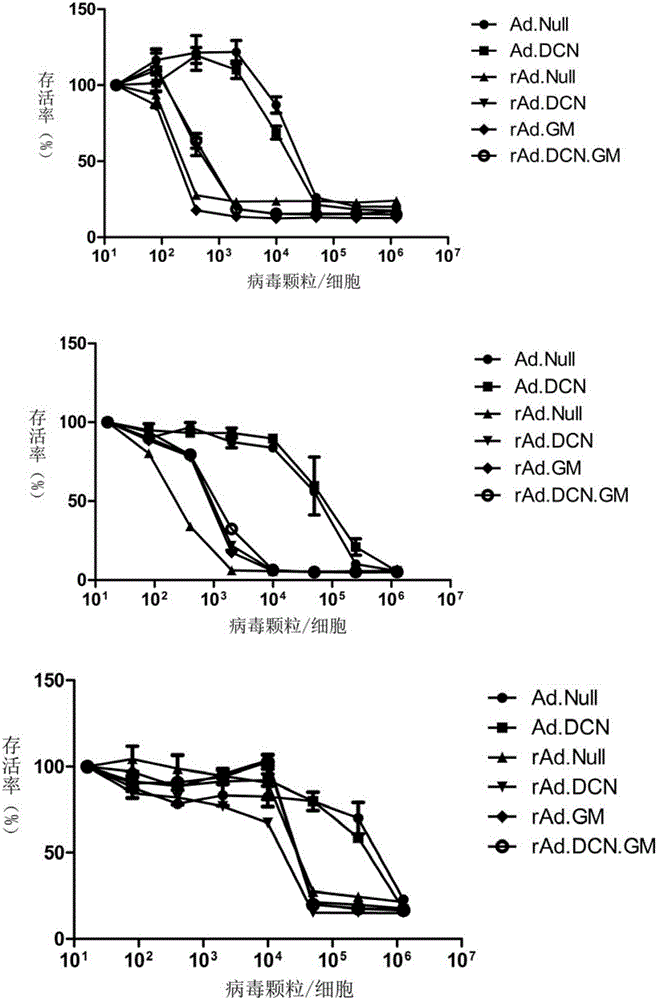 Oncolytic adenovirus, carrier for preparing same and application thereof