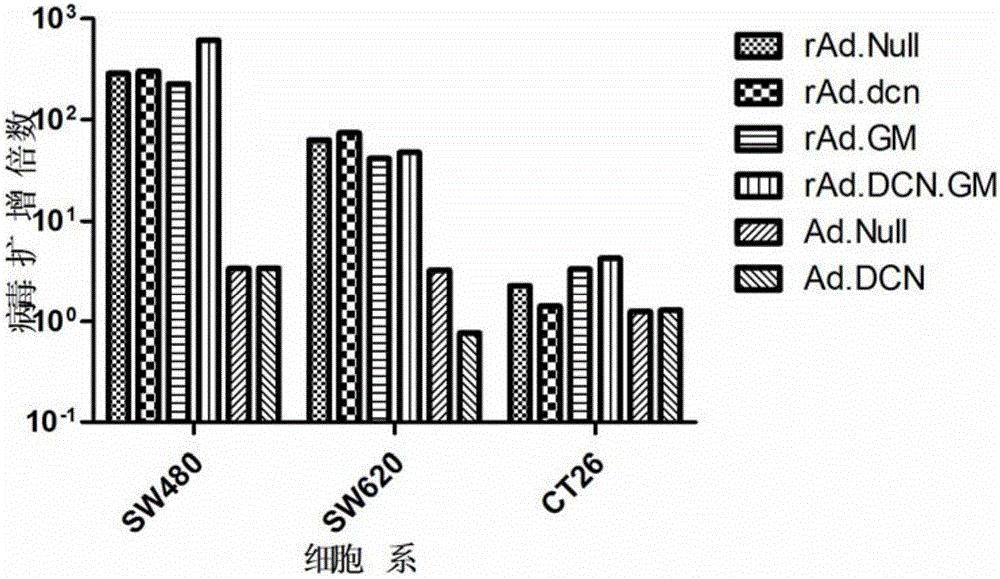 Oncolytic adenovirus, carrier for preparing same and application thereof