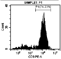 Optimized clinical TCM sorting, induction culture and quality control identification kit and application thereof