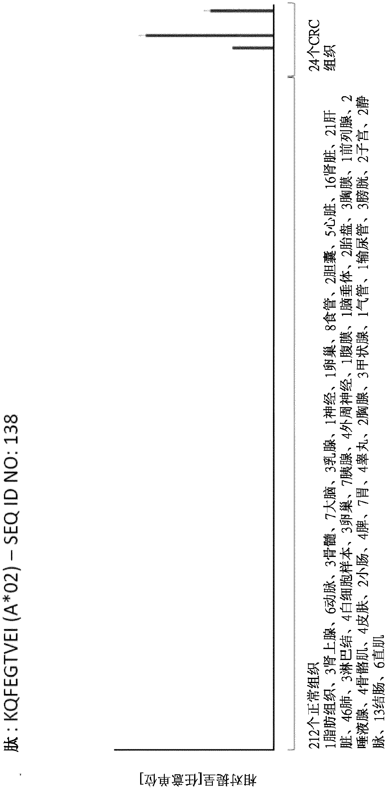 Novel peptides and combination of peptides and scaffolds thereof for use in immunotherapy against colorectal carcinoma (CRC) and other cancers