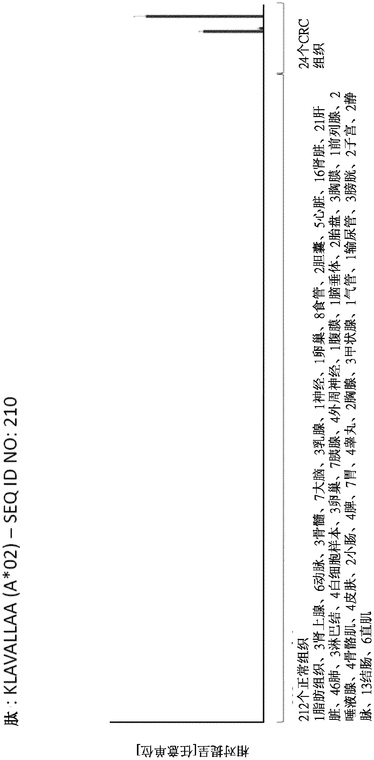 Novel peptides and combination of peptides and scaffolds thereof for use in immunotherapy against colorectal carcinoma (CRC) and other cancers