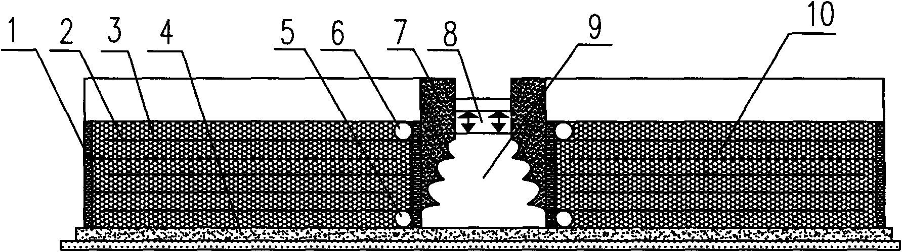 Municipal early-stage rainwater pollutant spiral-type in-situ purification device