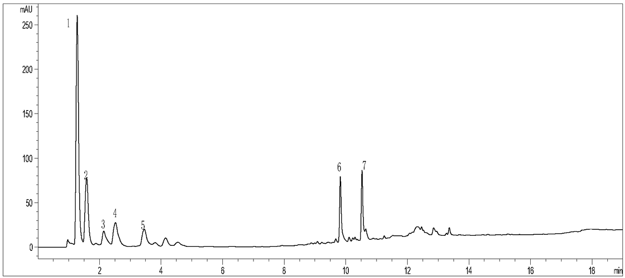 Centella asiatica extract applied to cosmetics and preparation method of centella asiatica extract