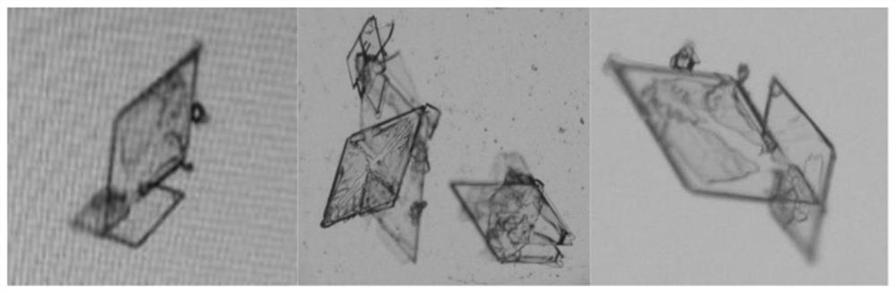 Dodecanedioic acid crystal and preparation method thereof