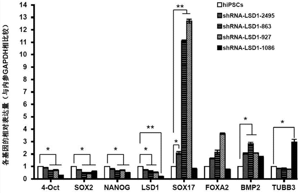 Method for inducing directional differentiation of human induced pluripotent stem cells into pancreatic cells