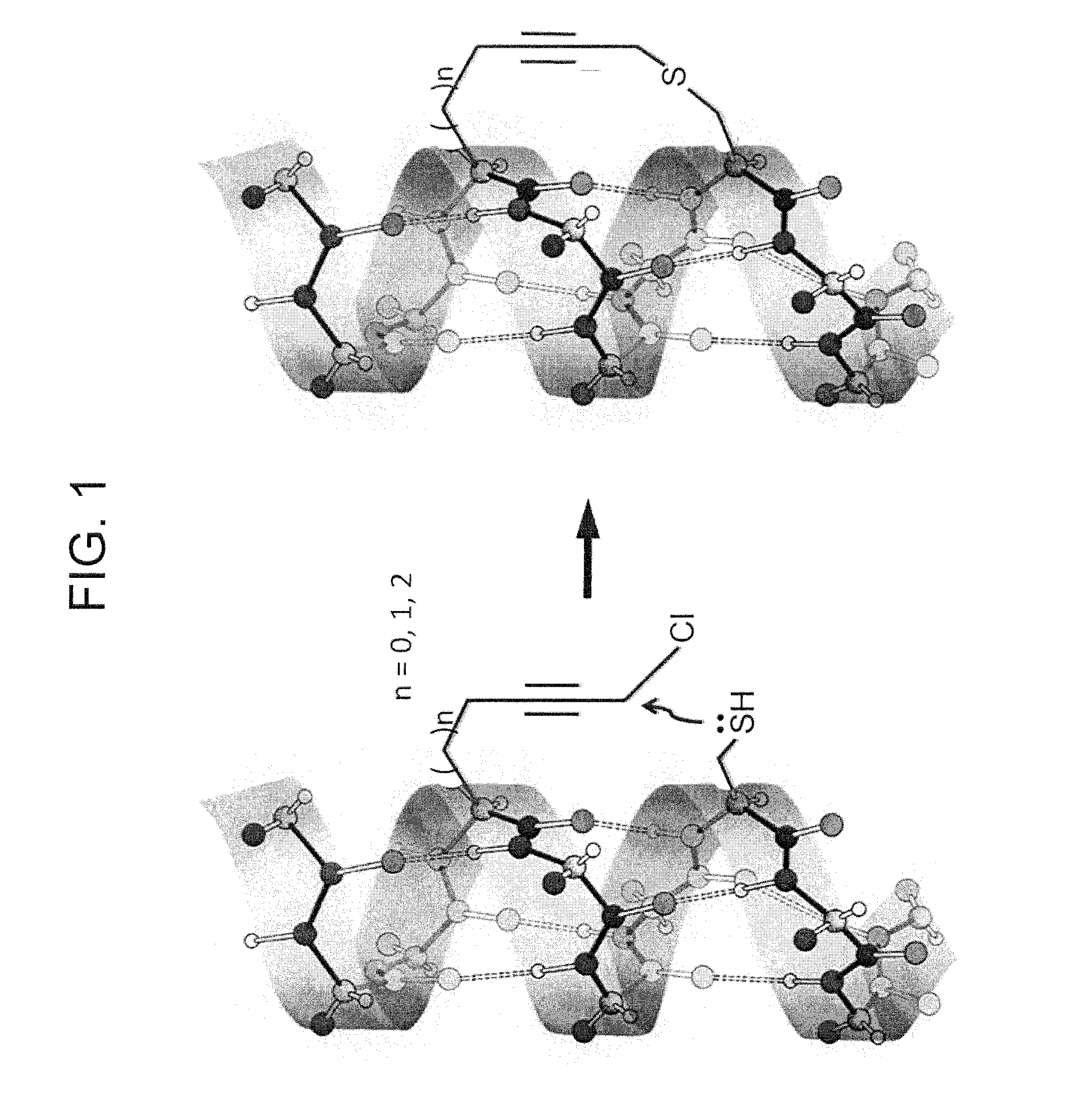 Peptide with Safer Secondary Structure, Peptide Library, and Production Methods for Same