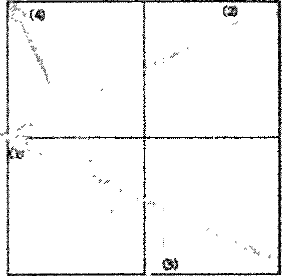 Computer Embroidery Technology Using Simulation Image Technology