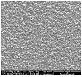 Method for preparing polymer porous membrane without solvent