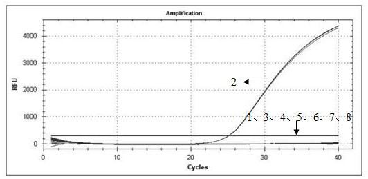 Method for detecting content of herbicide-resistant transgenic soybean J12 through real-time fluorescent quantitative PCR