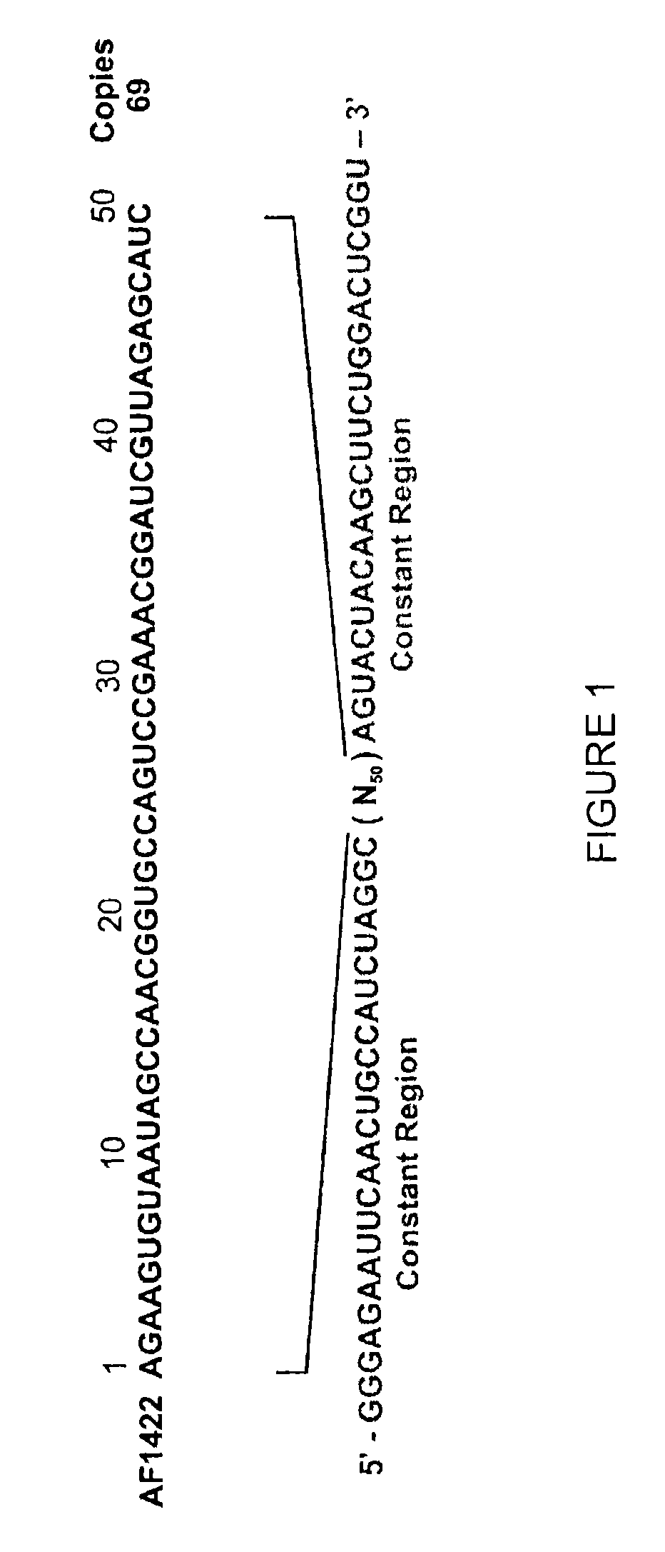 Subunit-selective nucleic acid inhibitors of glutamate receptors