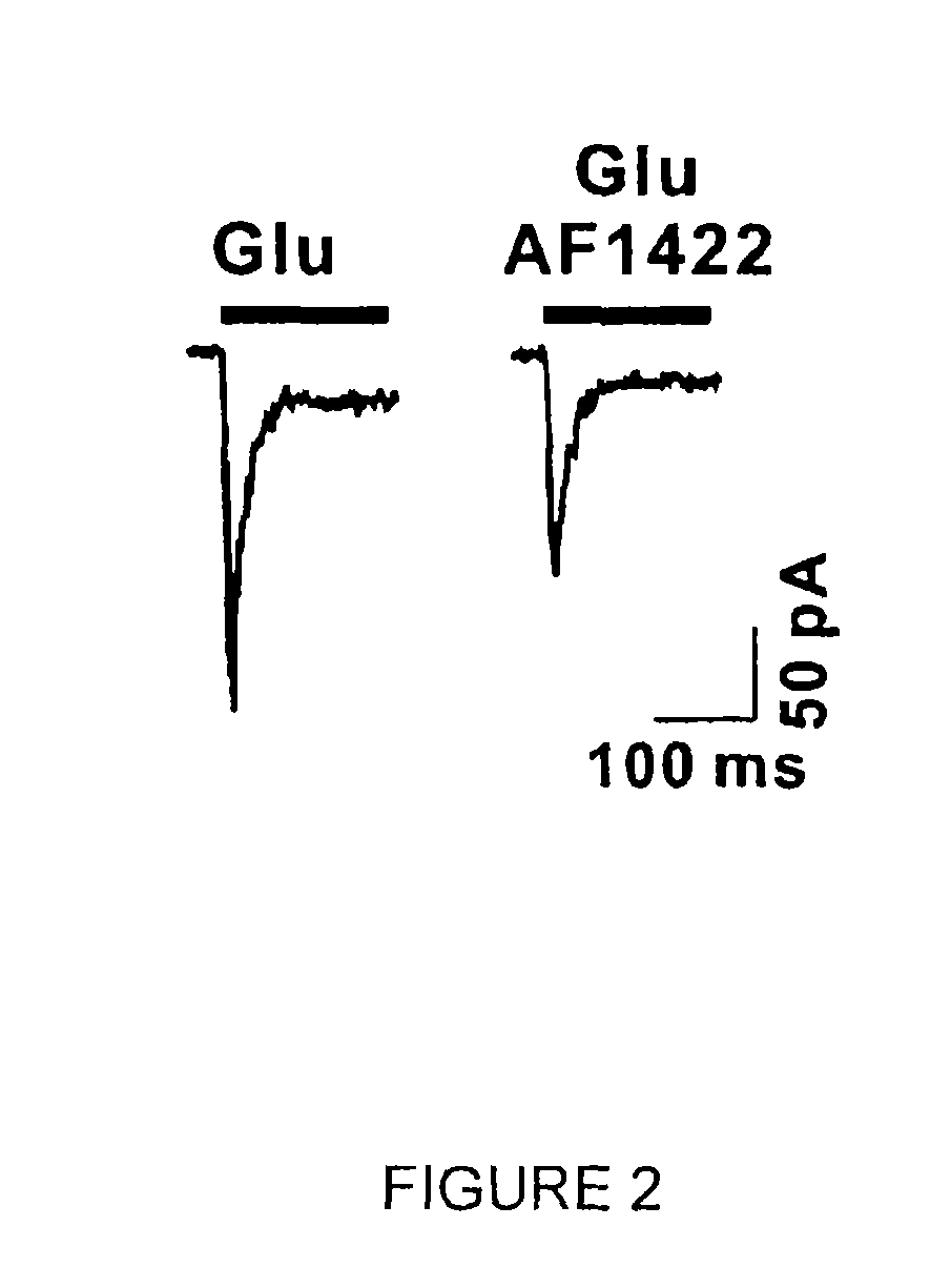 Subunit-selective nucleic acid inhibitors of glutamate receptors