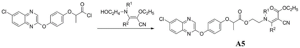 2-[4-(pyridyl-2-yl oxyl)phenoxyl]amide derivatives and preparation method and application thereof