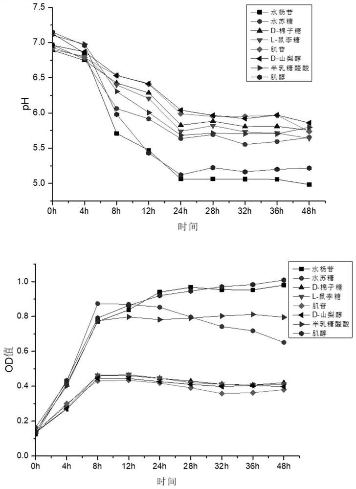 Bacillus altitudinis and application thereof to prevention and control of cigar fermentation mildew