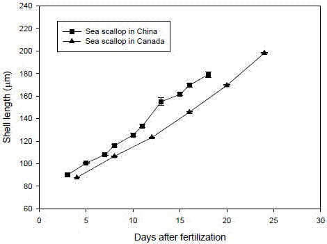 Interspecific hybridization and multiplication of deep-sea scallop and Chlamys farreri