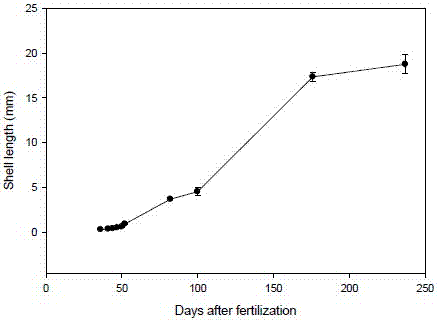 Interspecific hybridization and multiplication of deep-sea scallop and Chlamys farreri