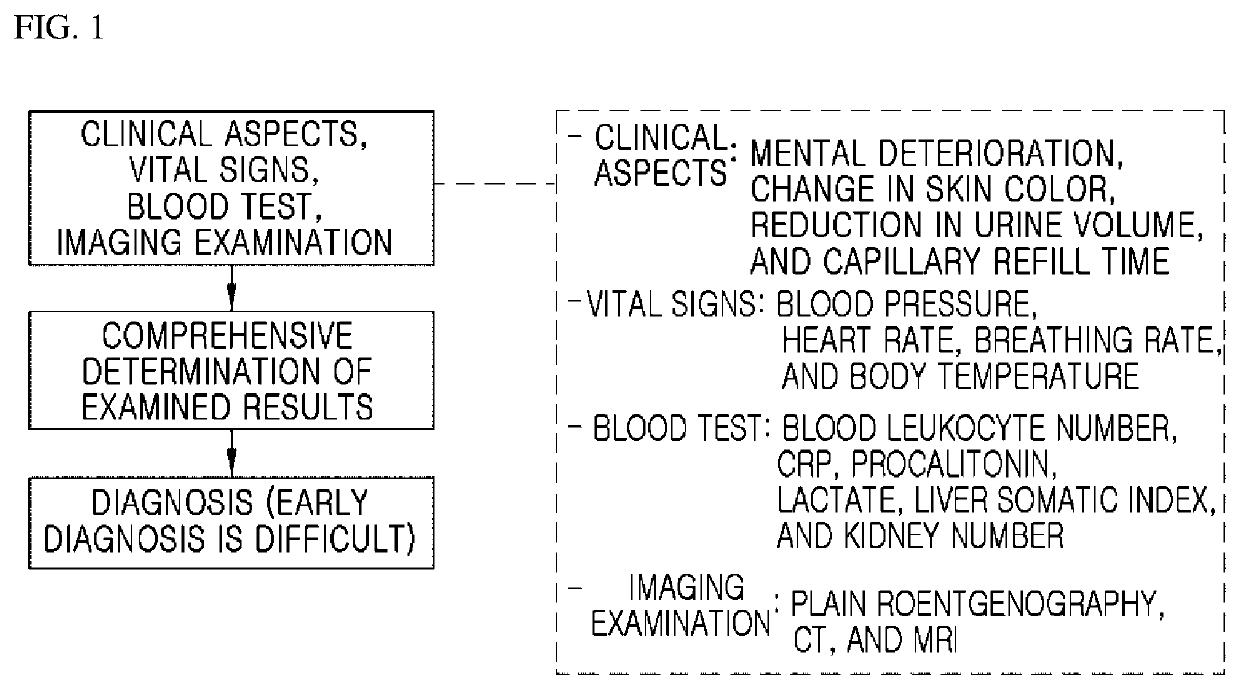 Apparatus for angiographic optical coherence tomography in retina or choroid, and method for diagnosing diseases by using same