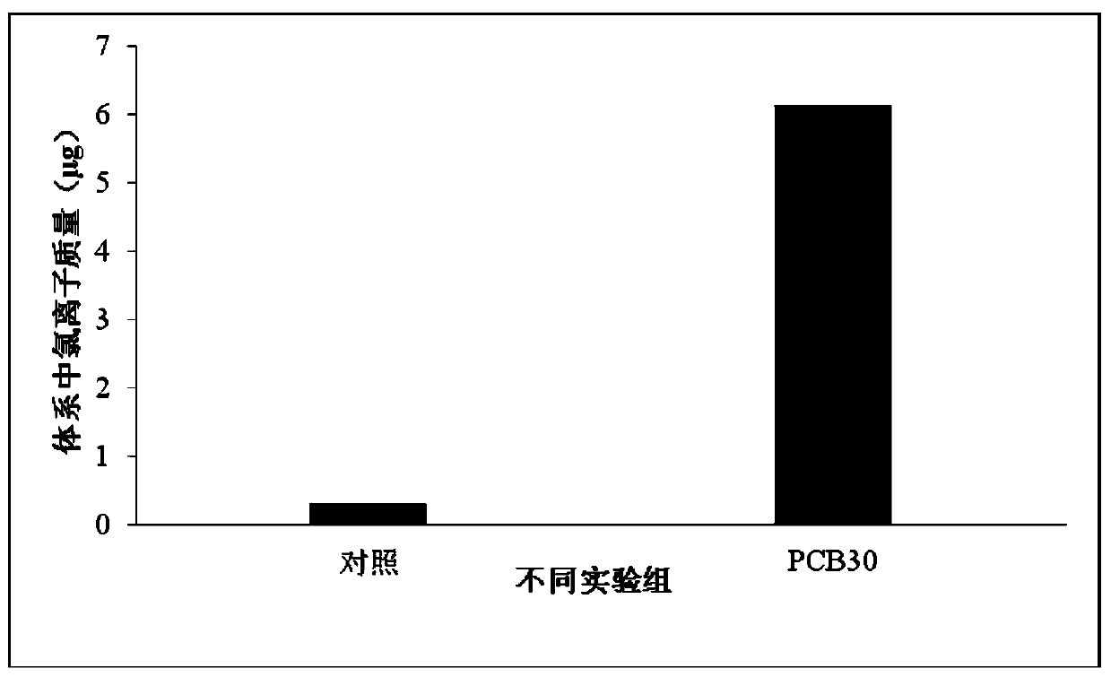 Anabaena capable of efficiently degrading polychlorinated biphenyl and application thereof