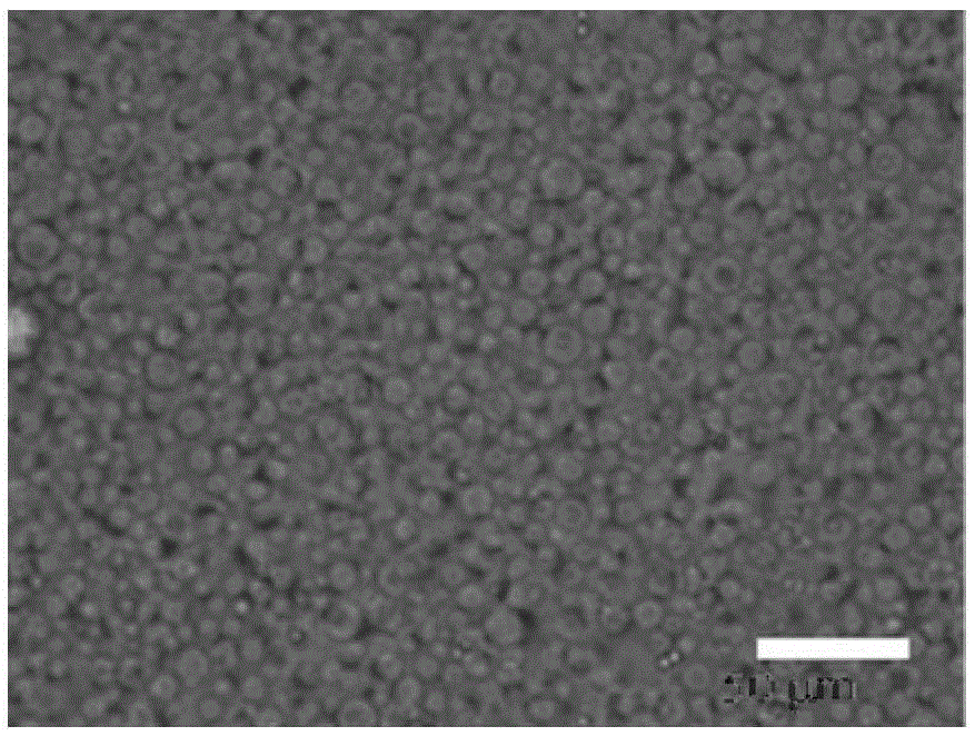 Microcapsule for wrapping solid sunscreen, preparation method and application thereof